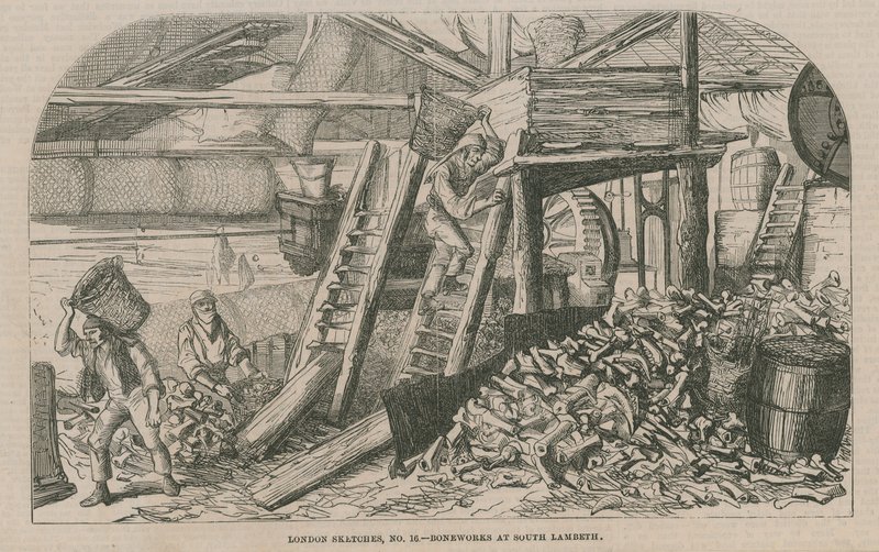 Usine de traitement des os à South Lambeth - English School