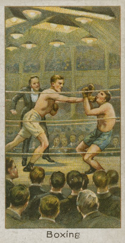 Boxe - English School
