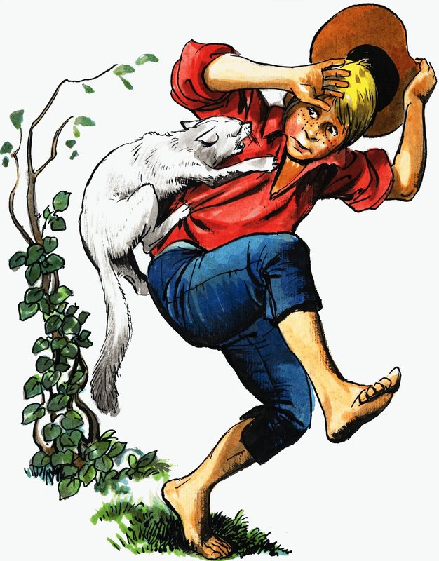 Garçon attaqué par un chat - English School