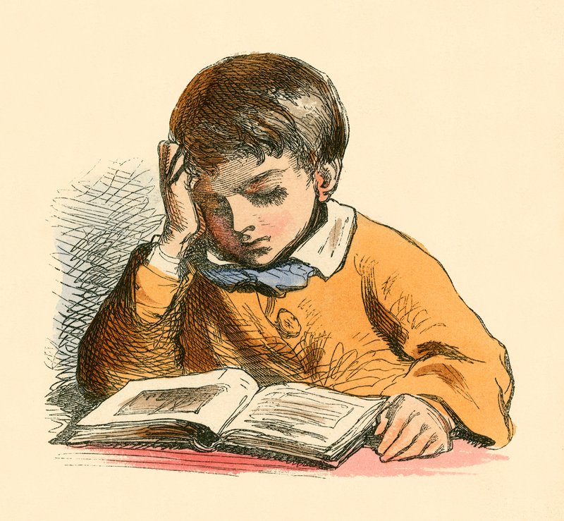 Garçon lisant - English School