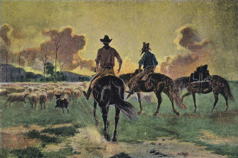 Ramener les moutons - English School