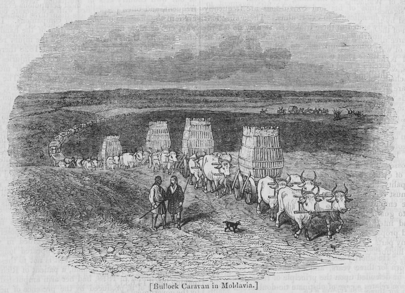 Caravane de bœufs en Moldavie - English School