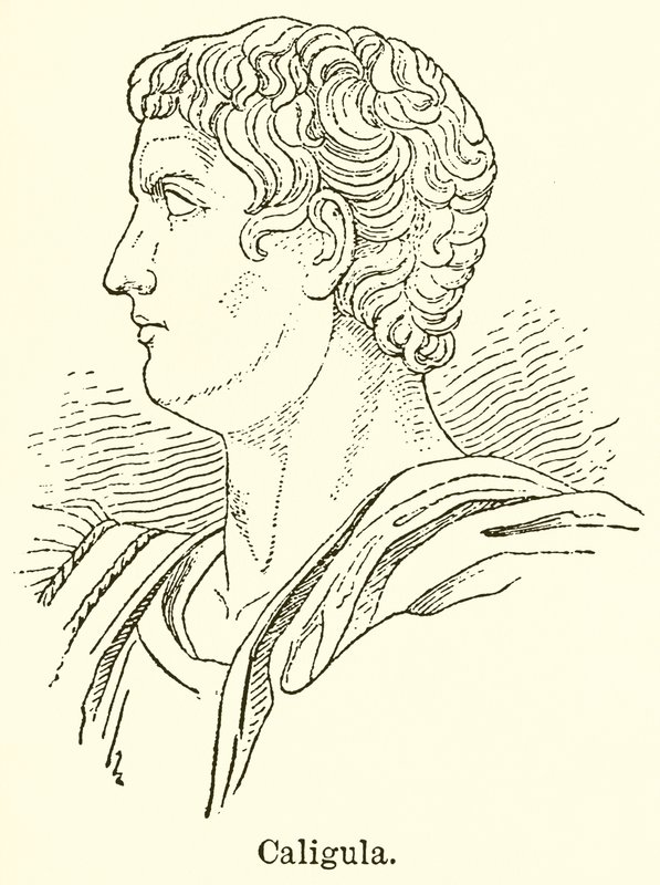 Caligula - English School
