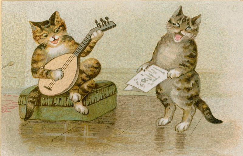 Chats faisant de la musique - English School