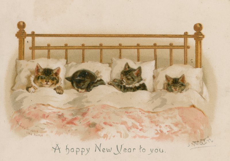 Chats dormant - English School