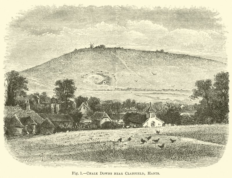 Collines de craie près de Clanfield, Hants - English School