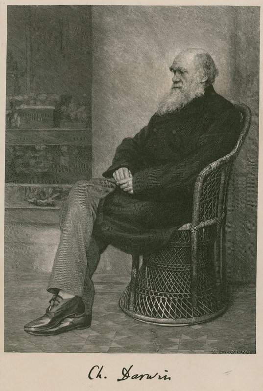 Charles Darwin - English School