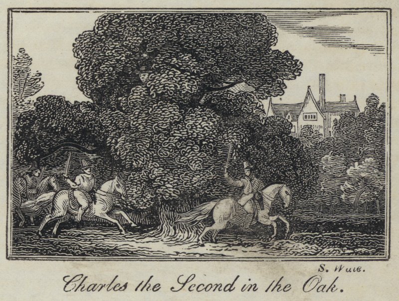 Charles II dans le chêne (gravure) - English School
