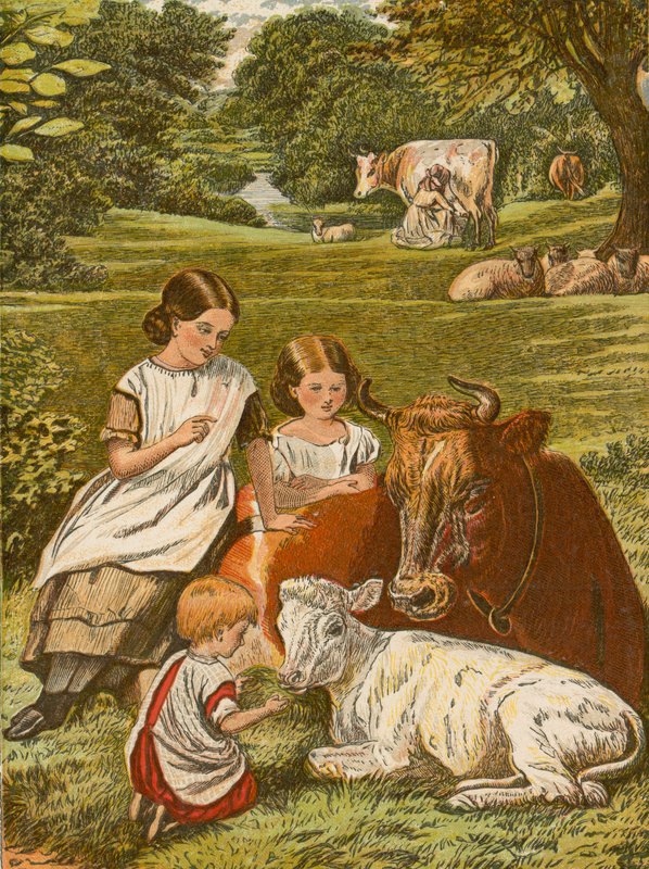 Enfants jouant avec une vache et un veau - English School