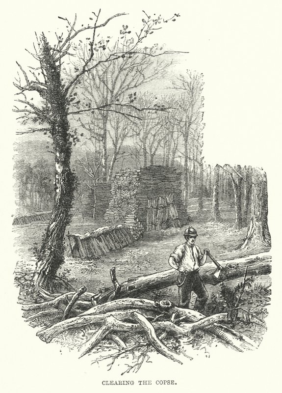 Défrichage du taillis (gravure) - English School