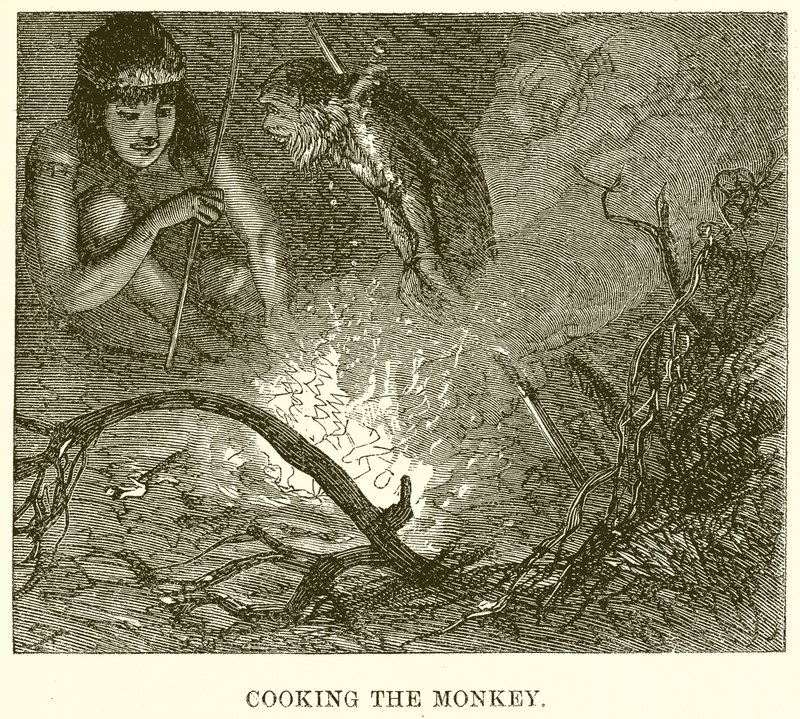 Cuisson du singe - English School