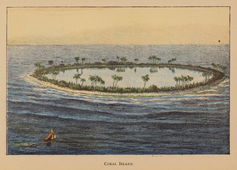 Île de corail - English School