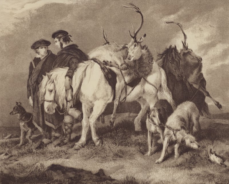 Chasse au cerf - English School