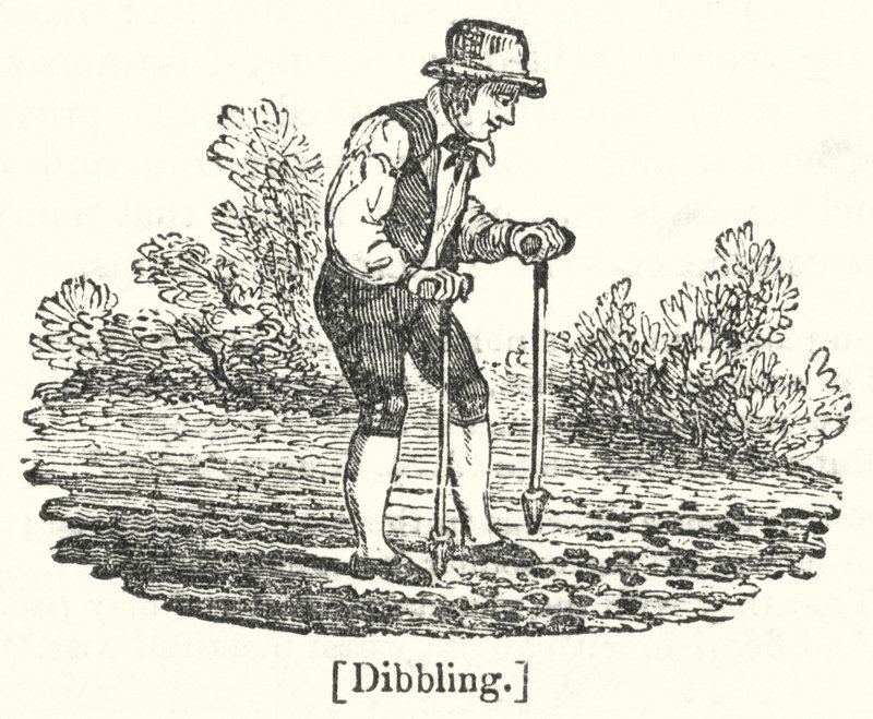 Dibbling - English School