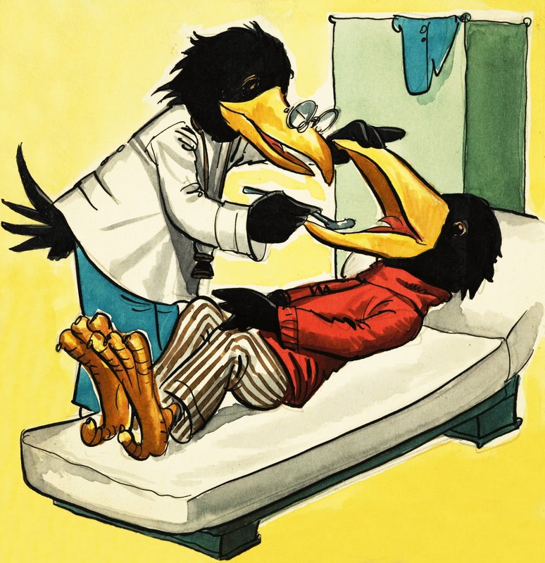Docteur Corbeau - English School