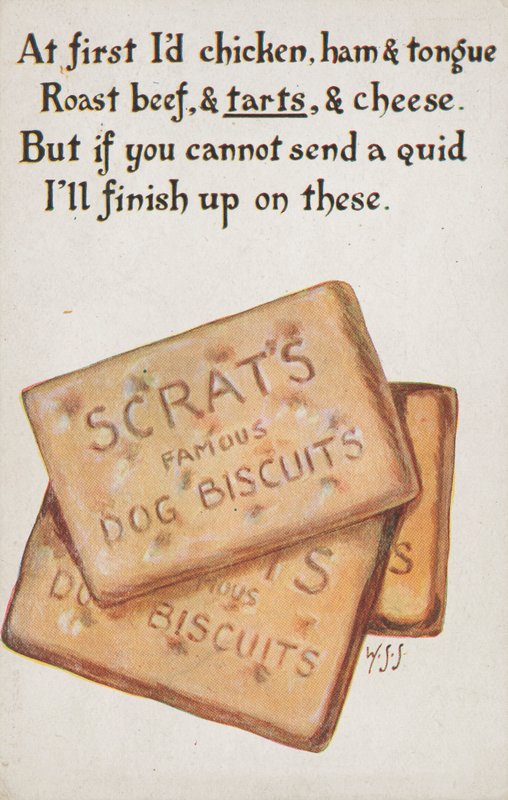 Biscuits pour chiens - English School