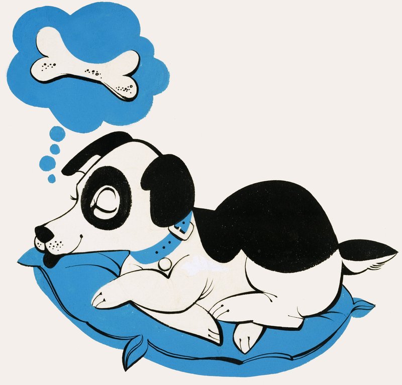 Chien rêvant d