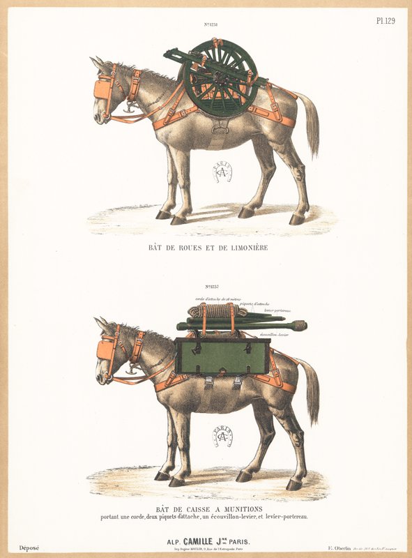 Ânes portant des selles - English School