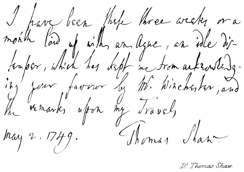 Dr Thomas Shaw - English School