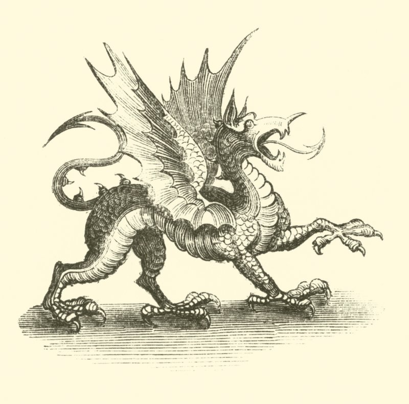 Dragon - English School