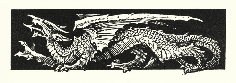 Dragon - English School