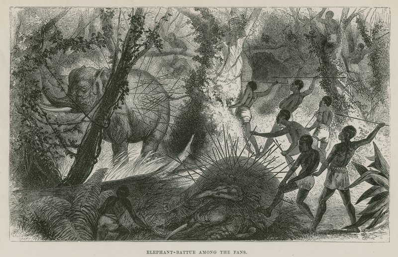 Chasse à l
