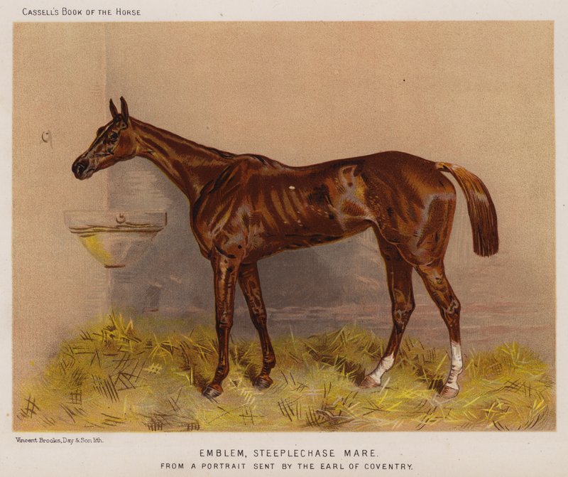 Emblème, jument de steeplechase (lithographie en couleur) - English School