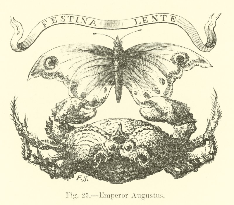 Empereur Auguste - English School