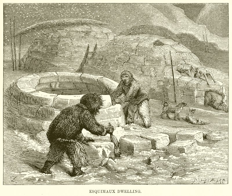 Habitation Esquimau - English School