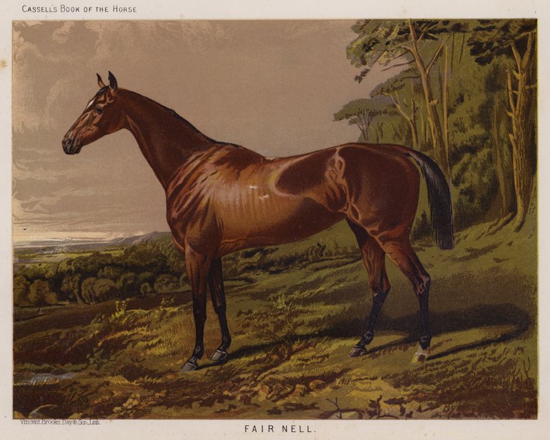 Belle Nell (lithographie en couleur) - English School