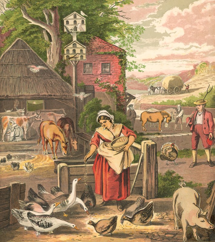 Cour de ferme - English School