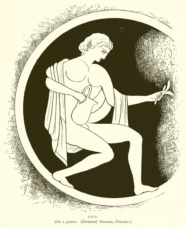 Faune - English School