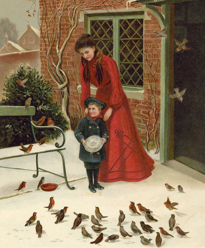 Nourrir les oiseaux - English School