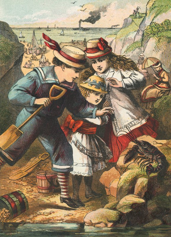 Trouver un homard sur la plage - English School