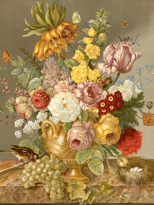 Exposition florale - English School