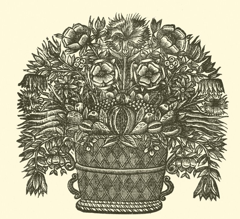 Fleurs - English School