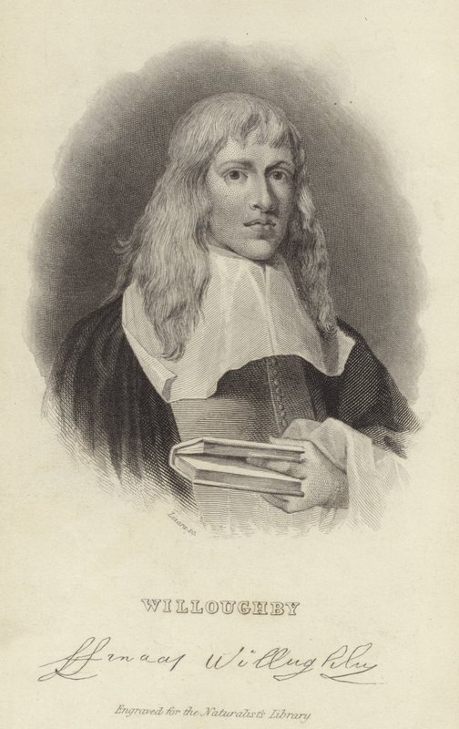 Francis Willughby - English School
