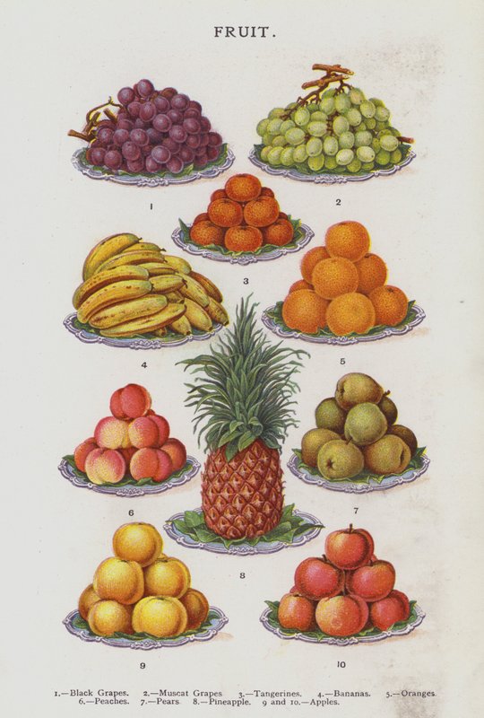 Fruit (chromolitho) - English School