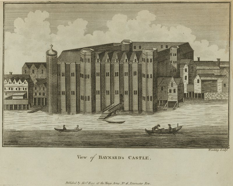 Vue générale du château de Baynards - English School