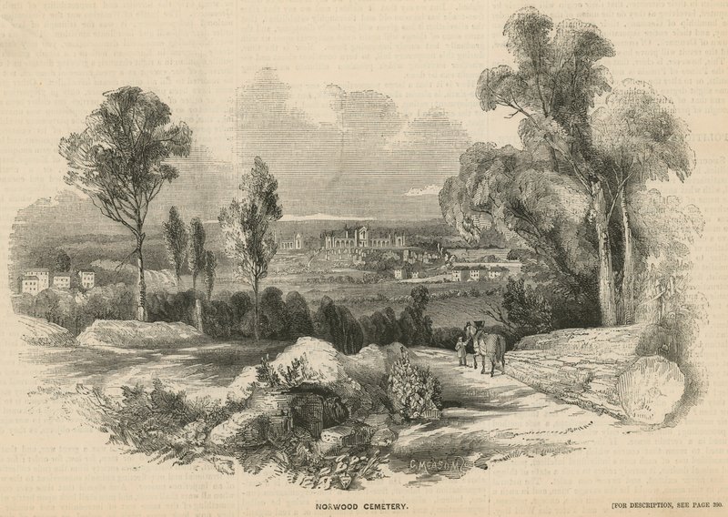 Vue générale du cimetière de Norwood - English School