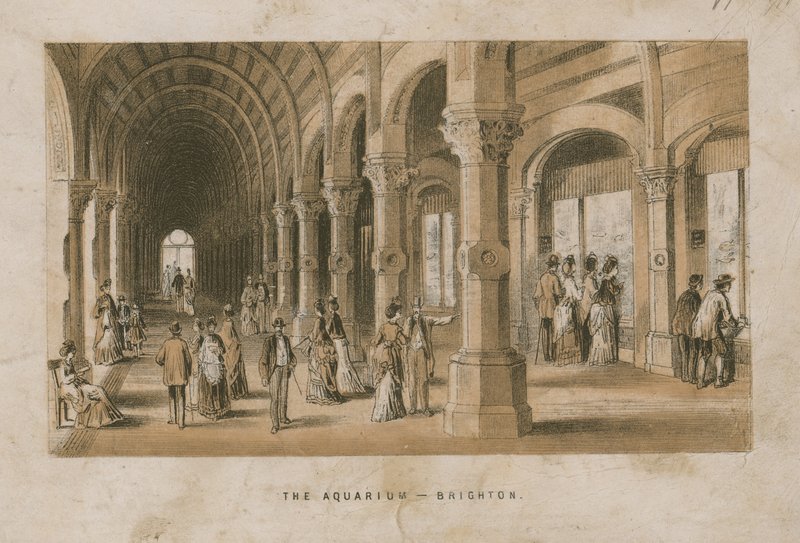 Vue générale de l