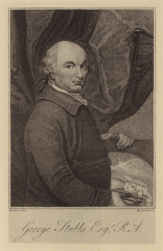 George Stubbs - English School