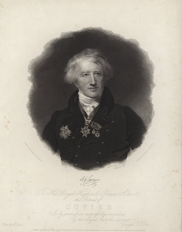 Georges Cuvier - English School