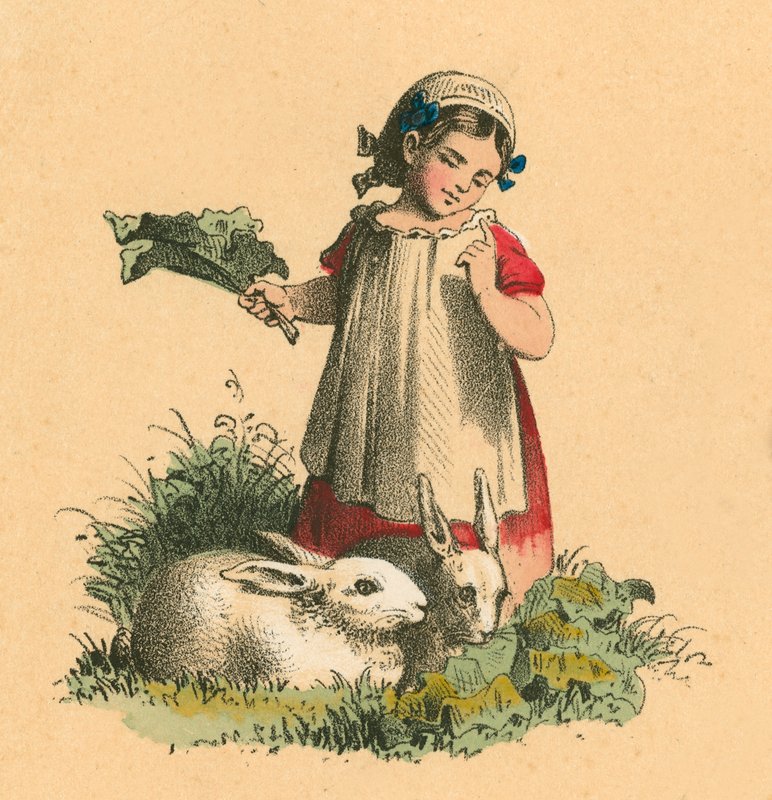 Fille avec ses lapins - English School