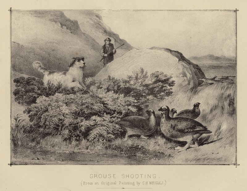 Chasse au Tétras - English School