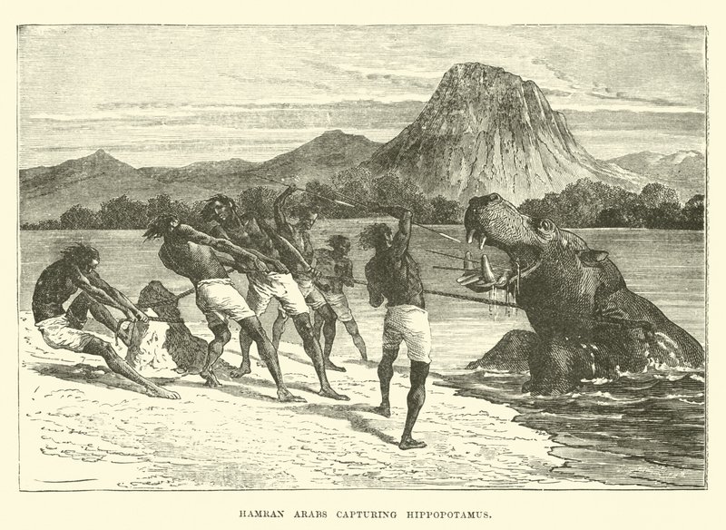Arabes Hamran capturant un hippopotame - English School