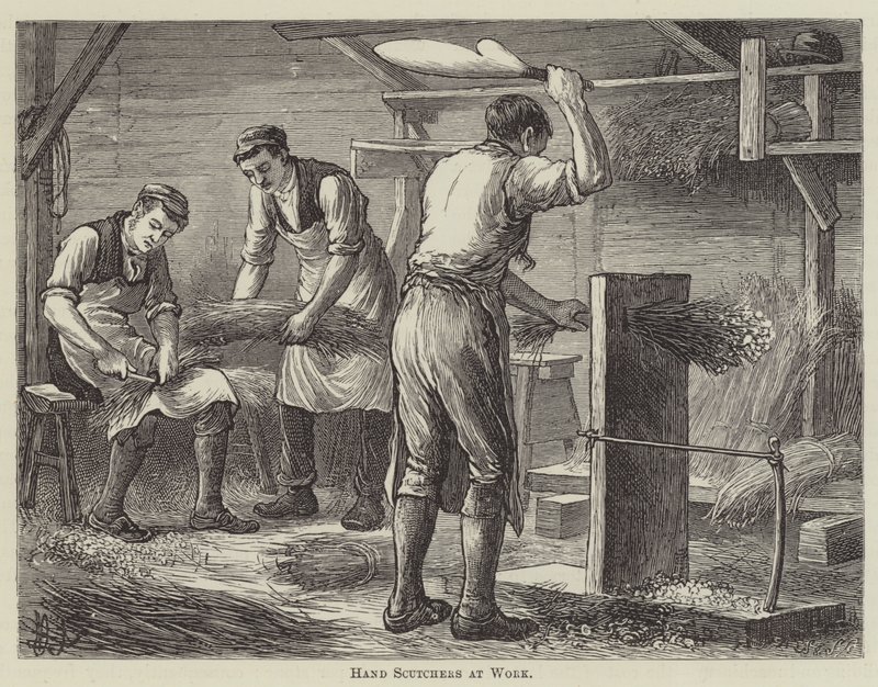 Travail des égreneurs à main (gravure) - English School