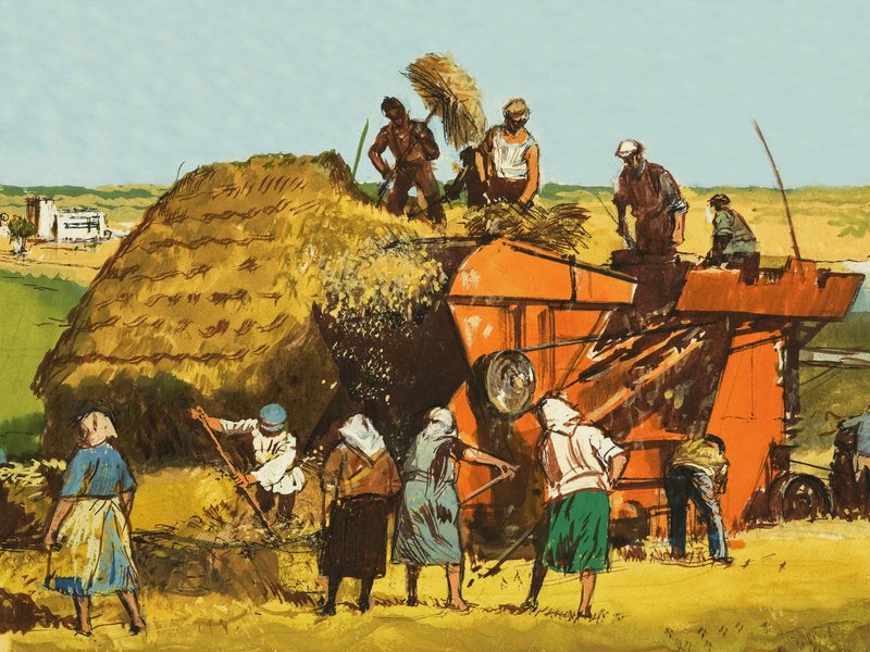 Récolte de blé - English School