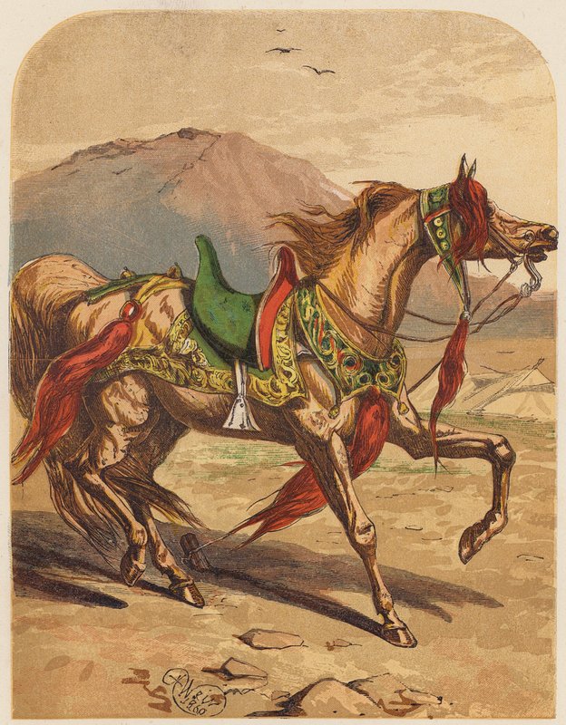 Cheval - English School