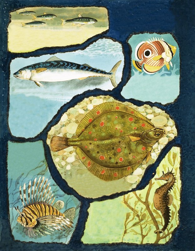 Comment les poissons échappent à leurs ennemis - English School
